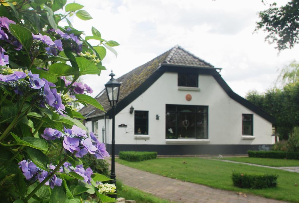 Bed&Breakfast 'T Eikeltje Hollandscheveld Exterior photo